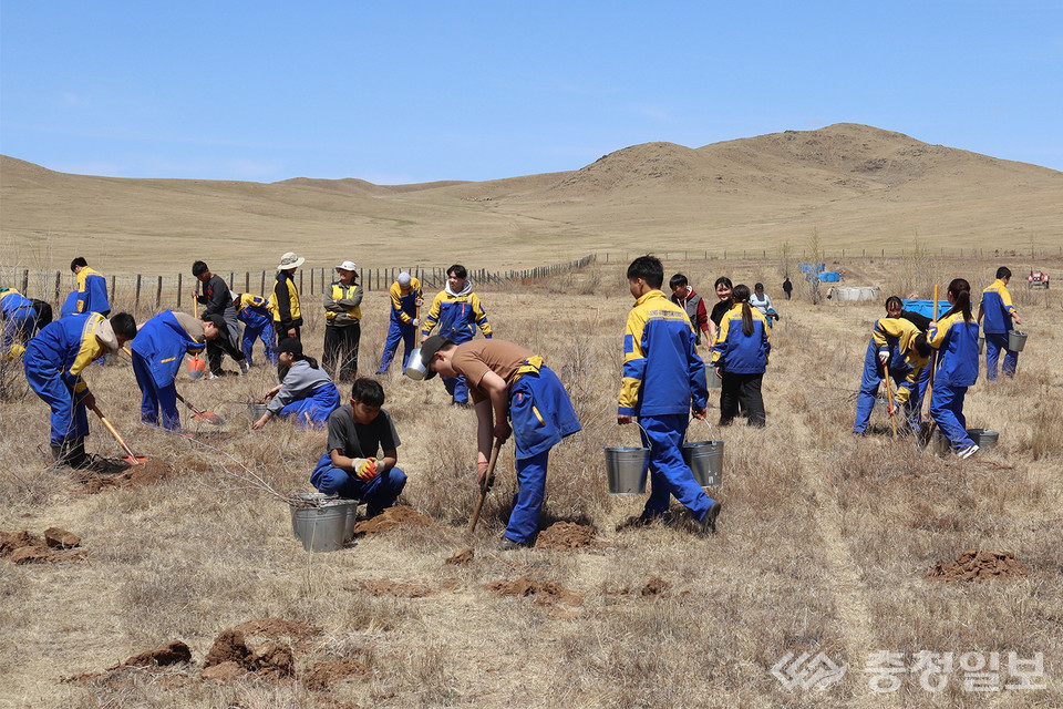 ▲ KT&G가 몽골 사막화 문제 해결을 위해 아르갈란트에 ‘상상의 숲’을 조성한다. 사진은 지난 10일 KT&G복지재단 관계자들과 참가자들이 ‘상상의 숲’ 식재 활동을 진행하고 있는 모습