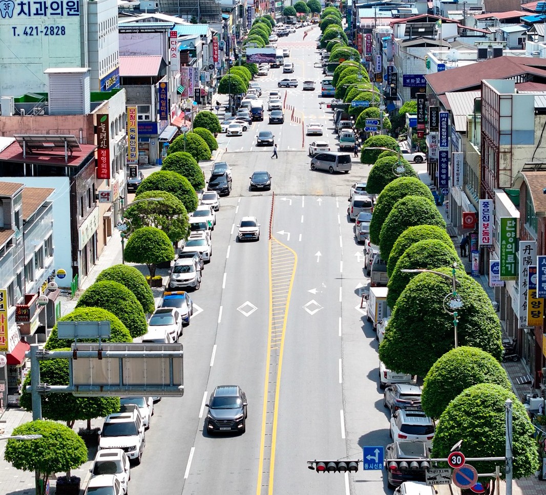 ▲ 단양군 단양읍 삼봉로 버섯모양의 복자기나무 가로수 길. 사진=단양군제공