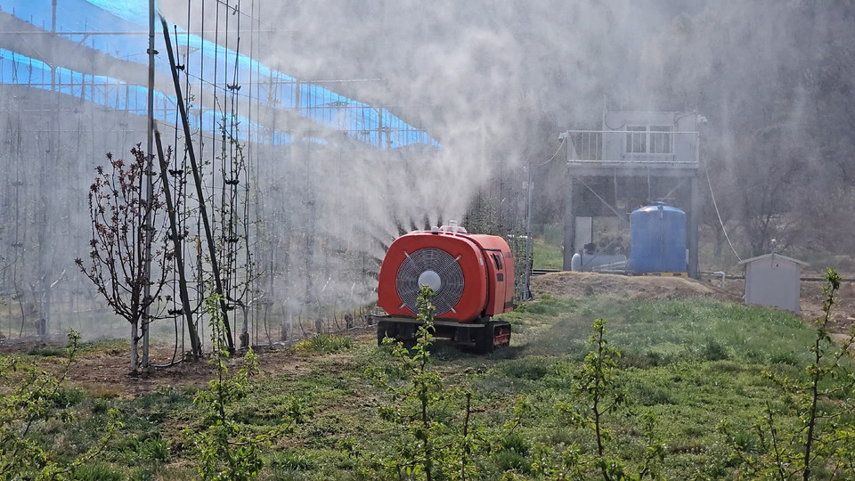 ▲ 충북 괴산군은 지역 주요 농작물의 안정적인 생산을 위해 지역 내 과수, 고추, 콩, 벼 재배농가 6342곳(4693ha)을 대상으로 돌발해충 방제약제를 6월 상순까지 공급한다.