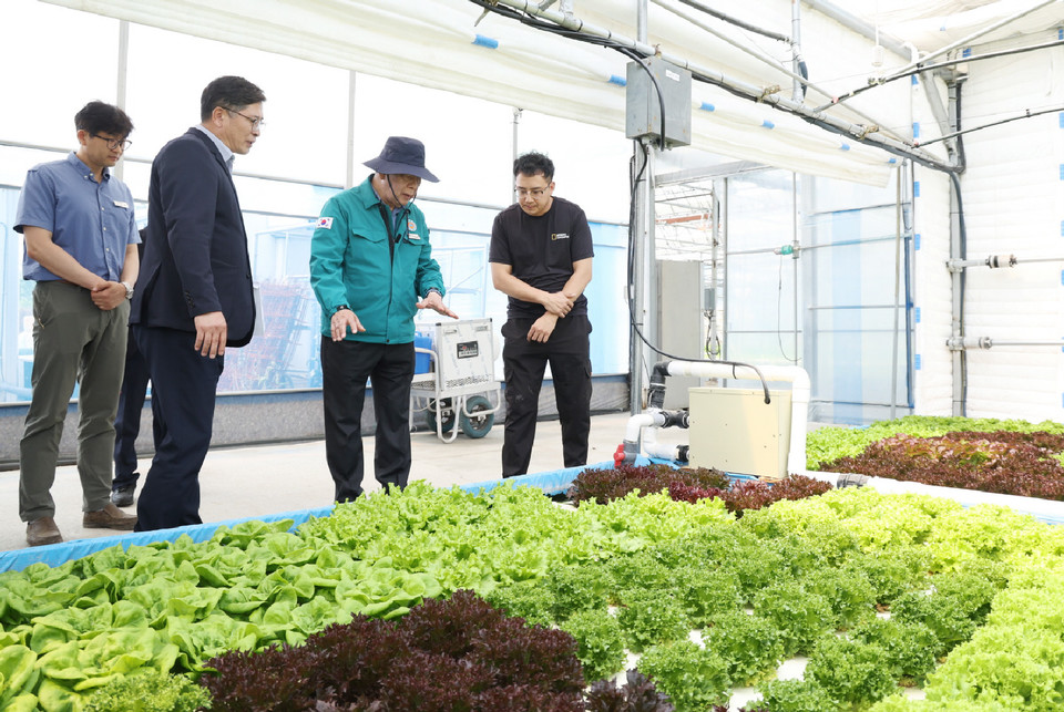 ▲ 27일 태안읍 시범농장에서 진행된 현장점검 모습