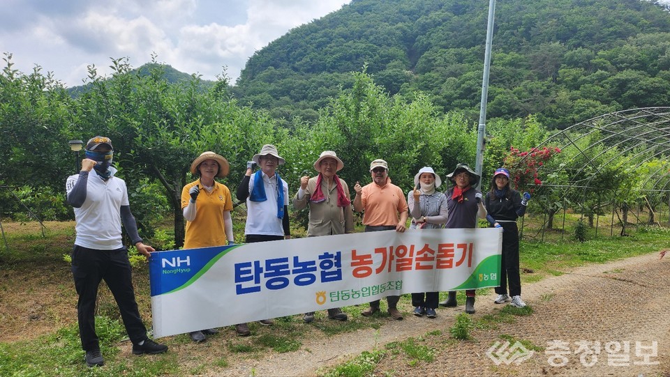 ▲ 영농철을 맞아 공주시 반포면 복숭아 농가에서 일손을 돕고 있는 탄동농협 임직원들. 왼쪽에서 네 번째가 이병열 조합장