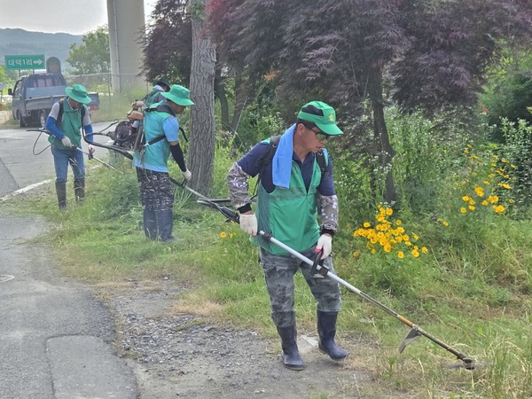▲ 신양면 새마을협의회 반찬 나눔 및 도로변 제초작업 활동 모습