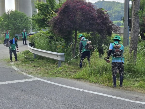 ▲ 신양면 새마을협의회 반찬 나눔 및 도로변 제초작업 활동 모습