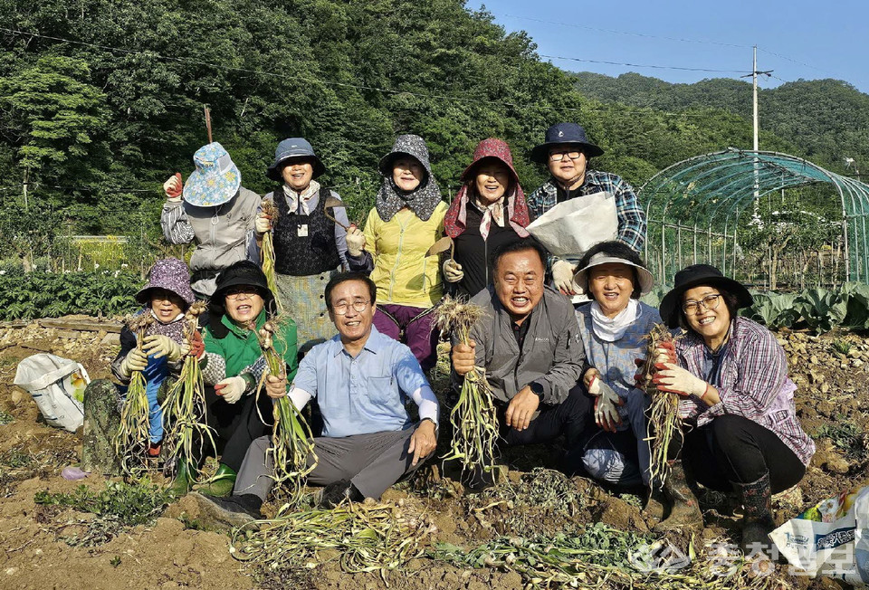 ▲ 단양군네일아트봉사회가 마늘 수확철을 맞아 한 마늘농가를 찾아 일손을 보태고 있다.