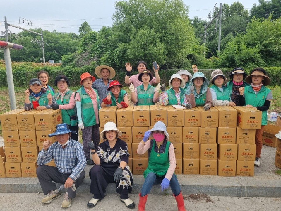 ▲ 지난 13일 세종시 부강면 새마을남녀협의회가 감자를 수확하고 이웃사랑을 실천하고 기념사진을 찍고 있다.