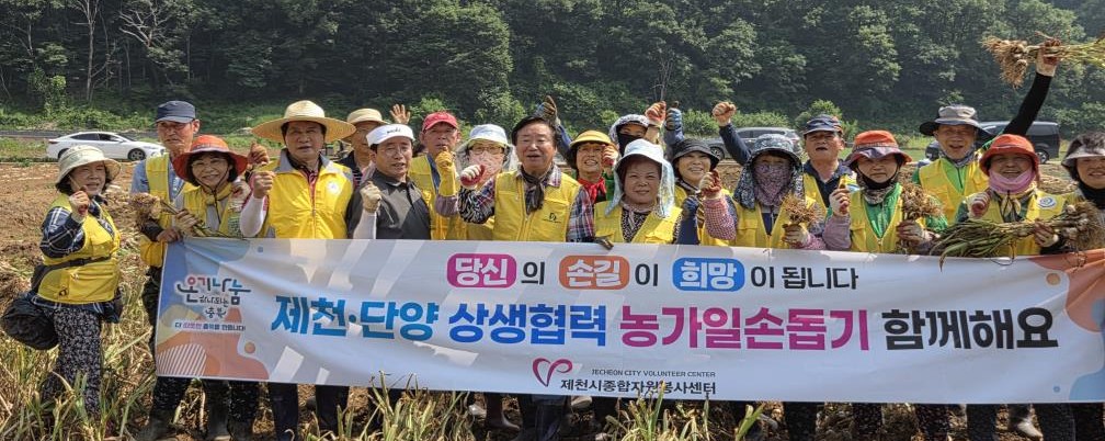 ▲ 제천시자원봉사센터 자원봉사자들이 단양서 마늘 캐기 일손 돕기를 마치고 사진촬영을 하고 있다. 사진=단양군제공