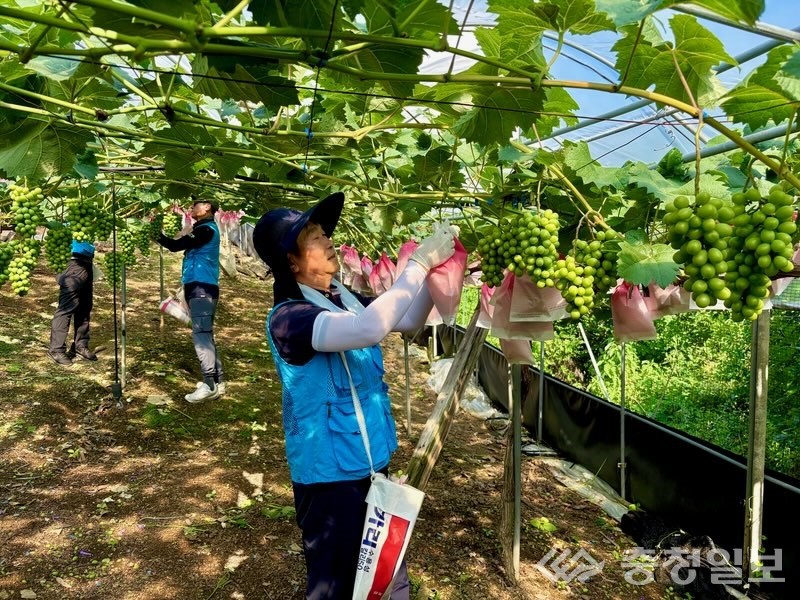 ▲ 김영훈 본부장