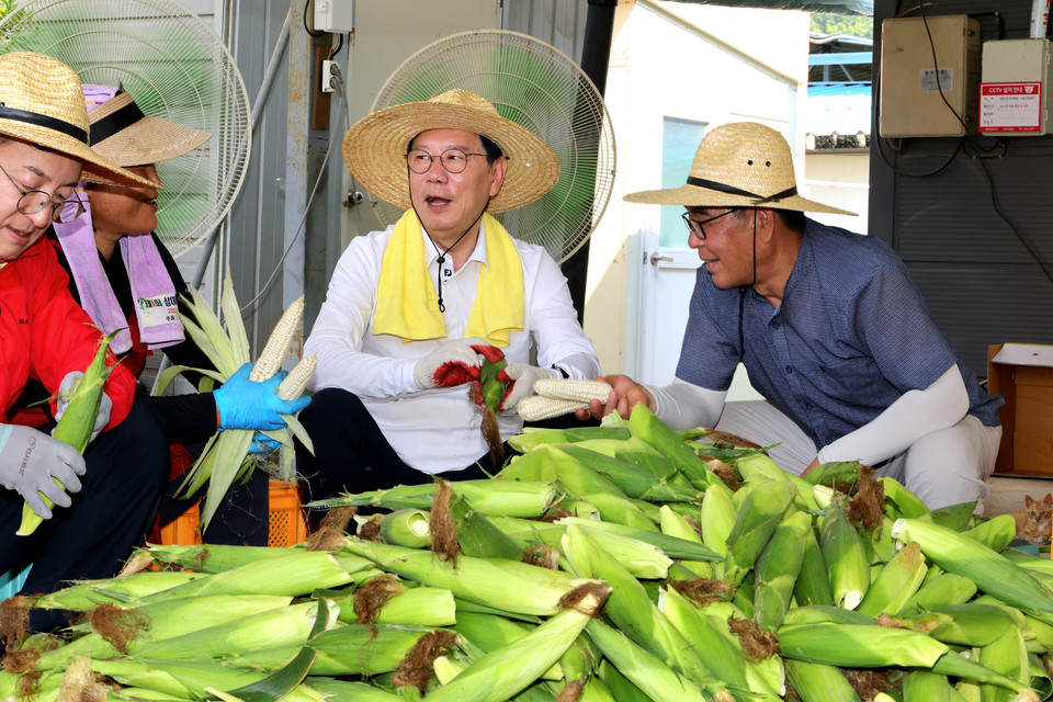 ▲ 송인헌 괴산군수가 9일 장연면 일원에서 주민들과 함께 2025년 괴산대학찰옥수수 첫 출하 행사를 가졌다.