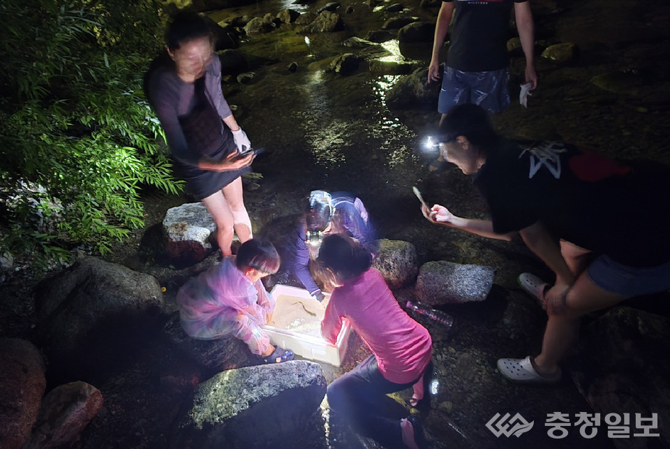 ▲ 단양 다리안관광지 힐링 캠핑 워케이션 참여자들이 캠핑스쿨 프로그램을 즐기고 있다.