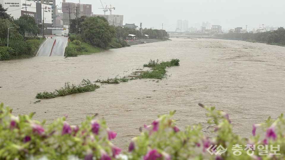 호우경보가 내려진 17일 충북 청주시 무심천 하상도로가 전날부터 내린 많은 양의 비로 잠겨 통행이 금지됐다.