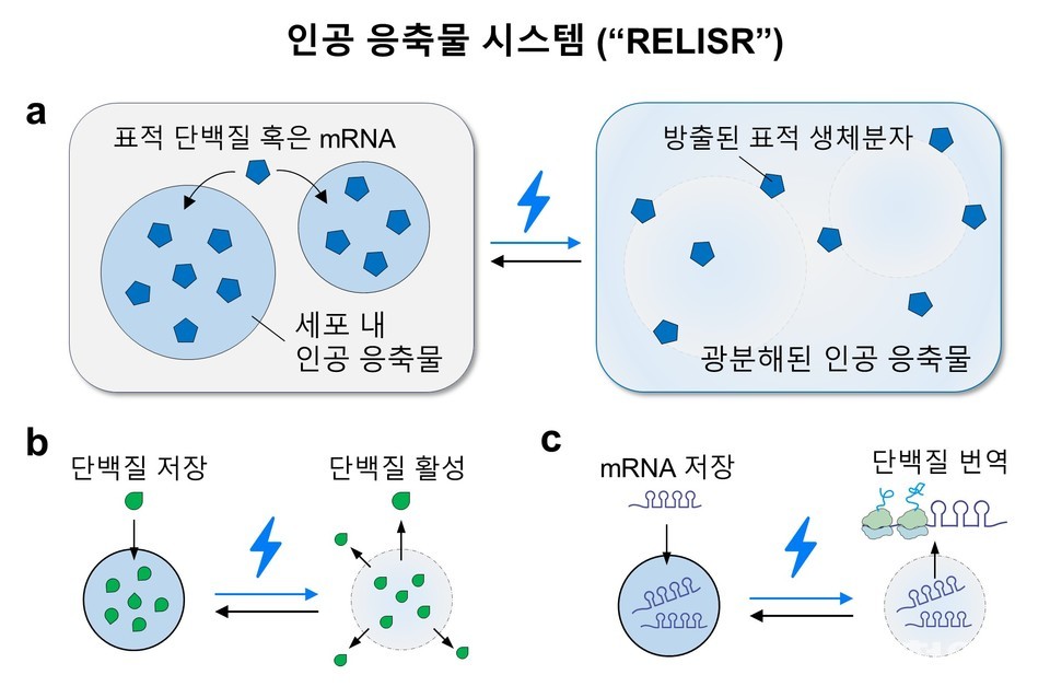 ▲ 인공 응축물 시스템(RELISR) 개요