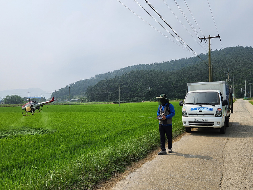 ▲ 태안군의 벼멸구 항공방제 모습.