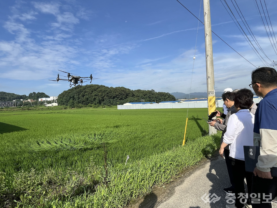 ▲ 충북 진천군이 스마트 농업 보급에 총력을 기울이고 있다. 사진은 드론 공동방제 모습.