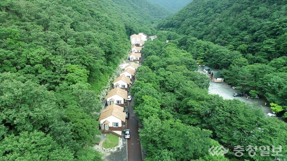 ▲ 금산산림문화타운./금산군