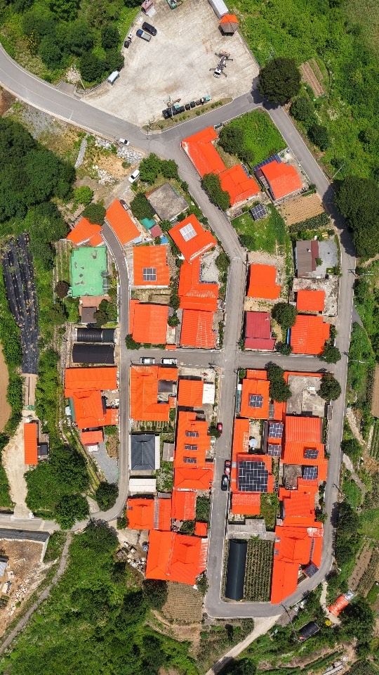 ▲ 감빛으로 새 단장을 마친 단양군 적성면 하진리마을 주택 지붕. 사진=단양군제공