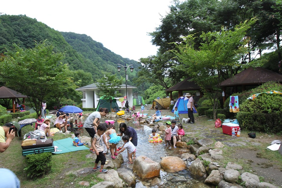 ▲ 단양읍 천동 다리안 계곡. 사진=단양군제공