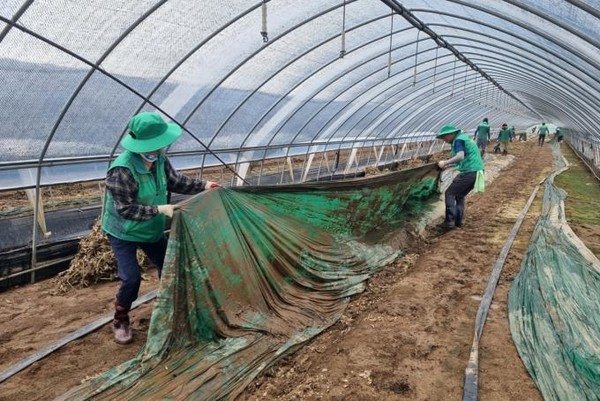 ▲ 주택 침수 지역에서 수해복구 활동에 앞장선 예산군새마을회 회원들