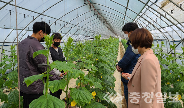 ▲ 충북 진천군이 농촌 자생력을 강화하고 있다. 사진은 군 관계자가 청년농업인에게 영농 기술을 설명하는 모습.