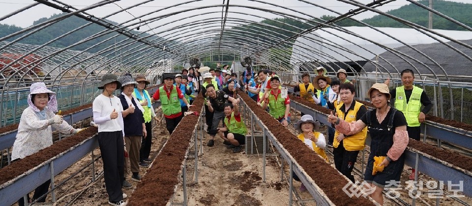 ▲ ﻿탈북민 귀농 하우스 수해복구피해 하우스 현장 정리 마친 봉사자들