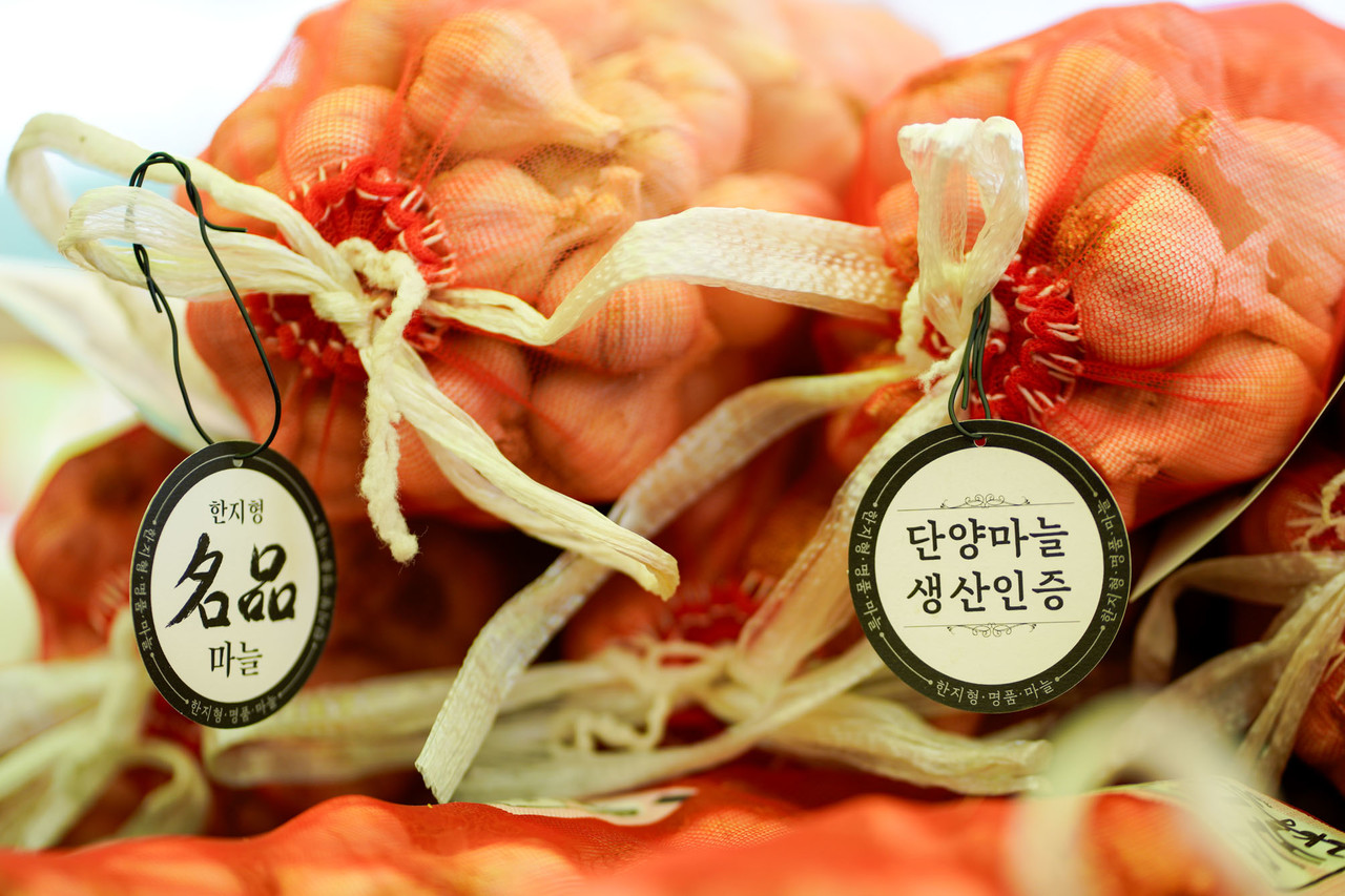 ▲ 단양마늘. 사진=단양군제공