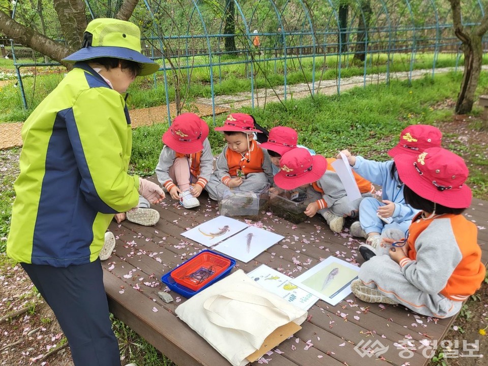 ▲ 지역 어린이들이 자연과 교감하고 정서적 안정과 건강한 발달을 도모하는 대덕구 유아숲체험원 프로그램 활동을 하고 있다