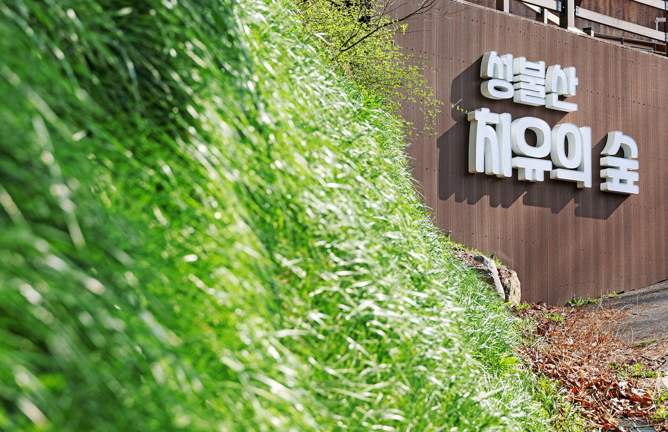 ▲ 충북 괴산군 성불산 치유의 숲.