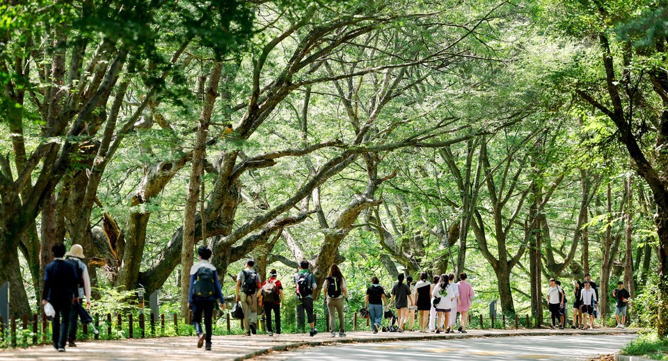 ▲ 화양계곡을 찾은 방문객들이 막바지 여름정취를 만끽하며 걷고있다.