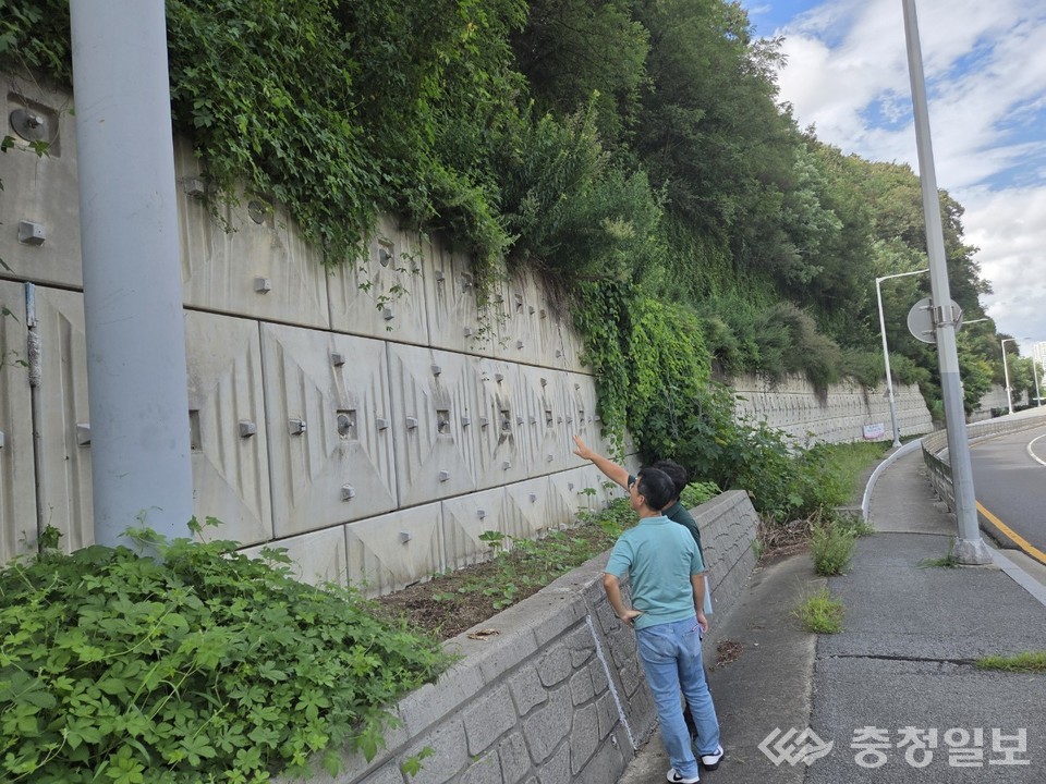 ▲ 대전시 건설관리본부, 보강토 옹벽 특별점검 실시 장면