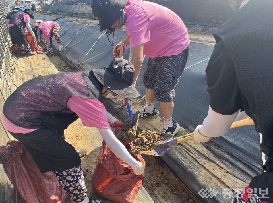 ▲ 학생들이 경상남도 산청군 수해 피해 지역을 찾아 복구 활동을 돕고 있다
