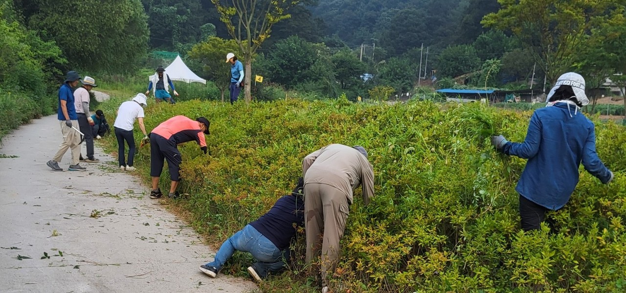 ▲ 제천시파크골프협회 회원들이 중전 청풍호 파크골프장에서 환경정화 활동을 벌이고 있다. 사진=제천시제공