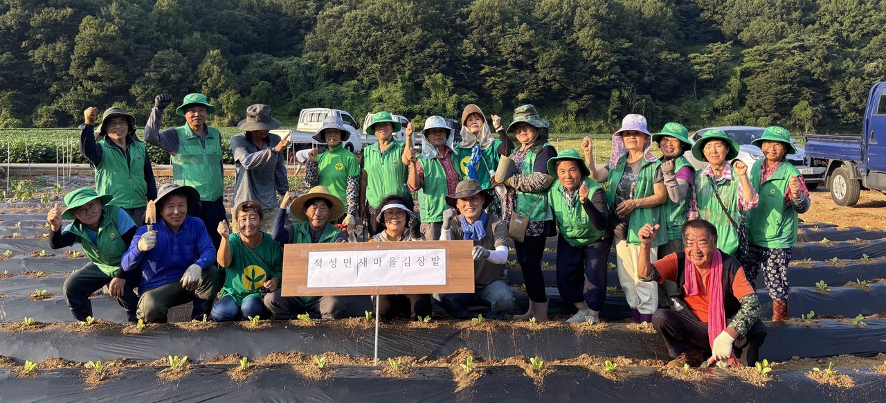 ▲ 단양군 적성면 새마을지도자협의회원들이 배추 모종을 심고 사진촬영을 하고 있다. 사진=단양군제공