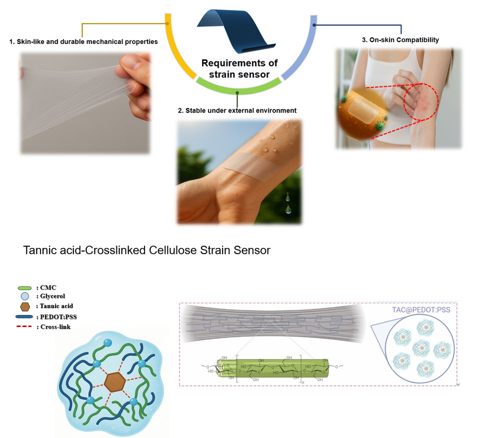 ▲ 국립한밭대학교 창의융합학과 성백상 박사과정생의 연구 모식도