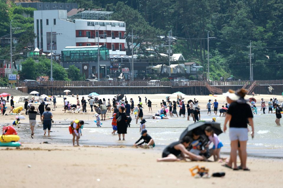 ▲ 올해 만리포 해수욕장 모습