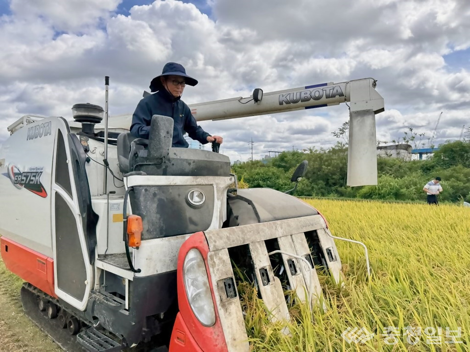 ▲ 긴영훈 대전본부장이 벼를 직접 수확하고 있다
