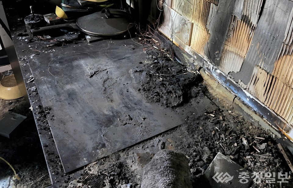 ▲ 반려동물 화재