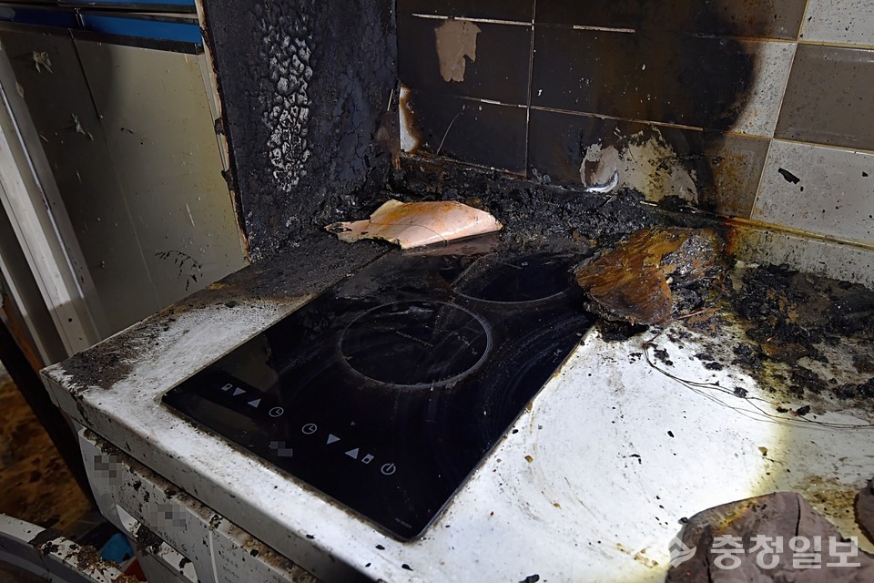 ▲ 반려동물 화재