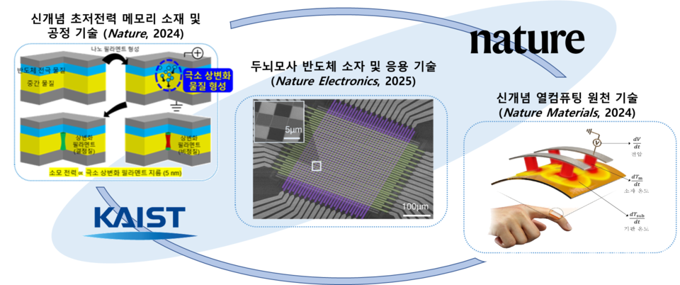 ▲ 관련 이미지