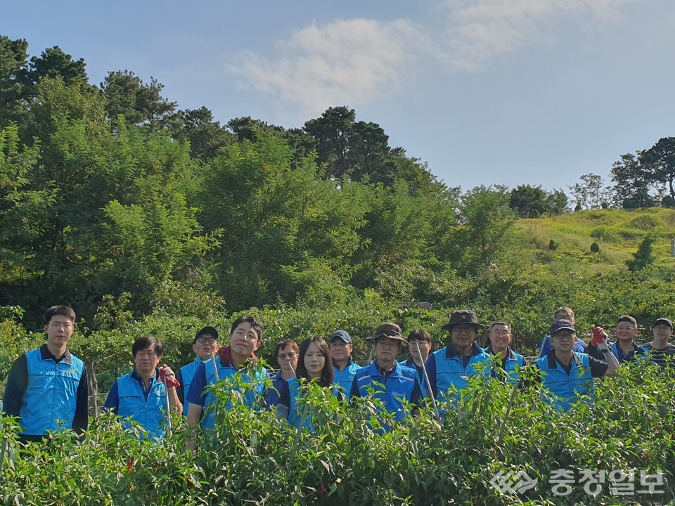 ▲ 힘겹던 농작업에 도움을 주며 환한 웃음을 짓는 봉사자들
