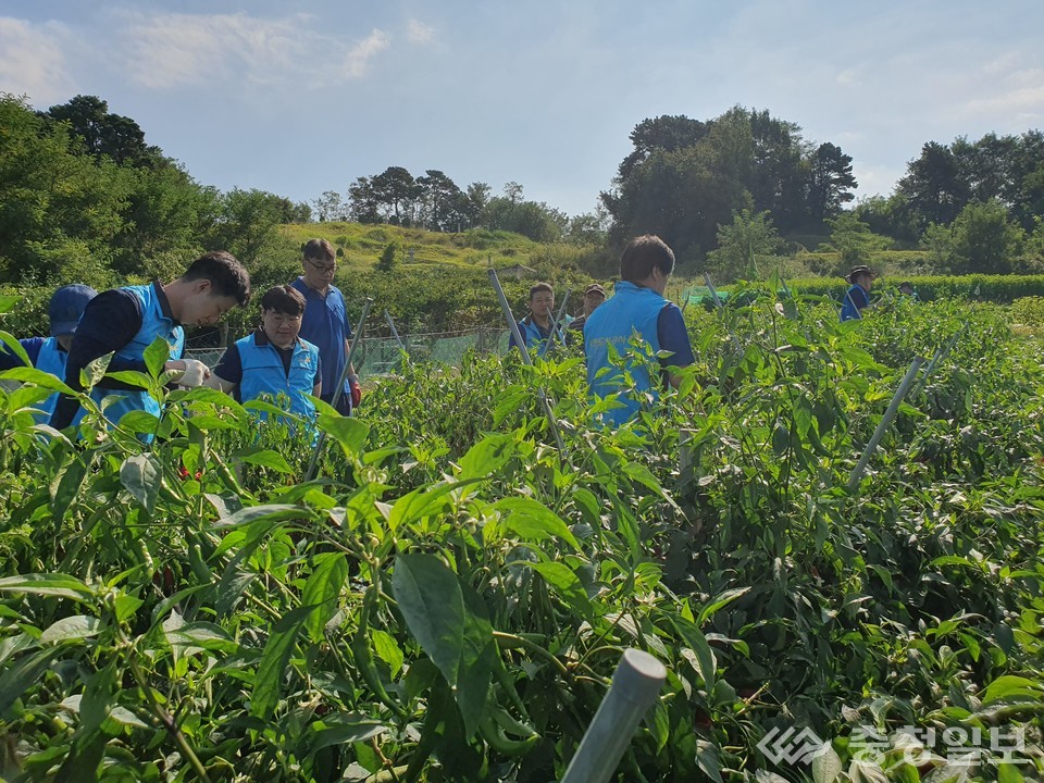 ▲ 무더위 속에서도 농가와 함께 어깨를 나란히 한 봉사 현장의 따뜻한 풍경