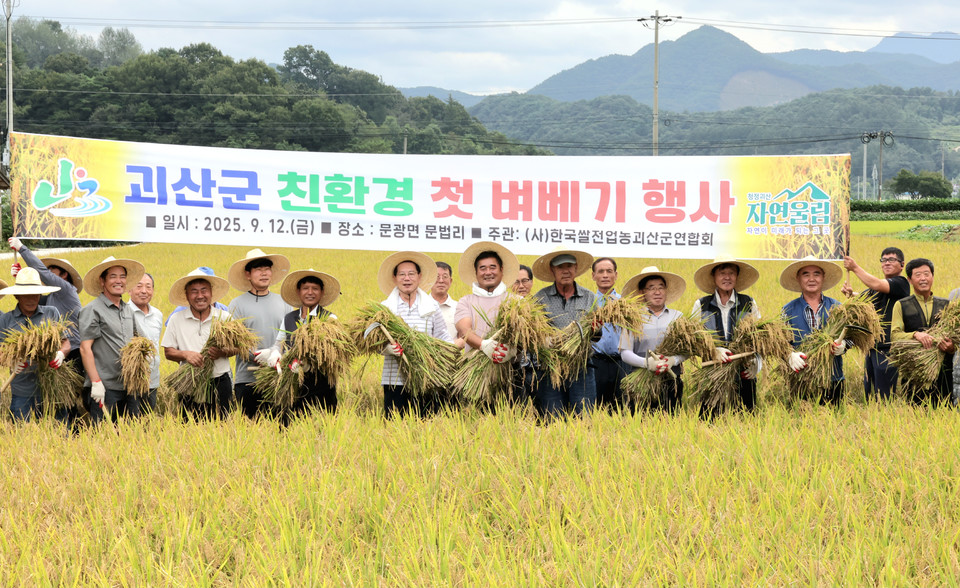 ▲ 지난 12일 충북 괴산군은 문광면 문법리 이인모 씨 농가의 논에서 친환경 벼 첫 벼 베기를 실시했다.