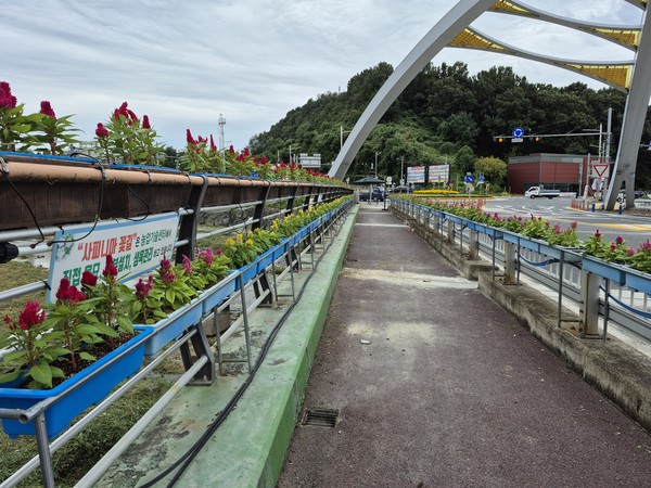 ▲ 금산군 제공