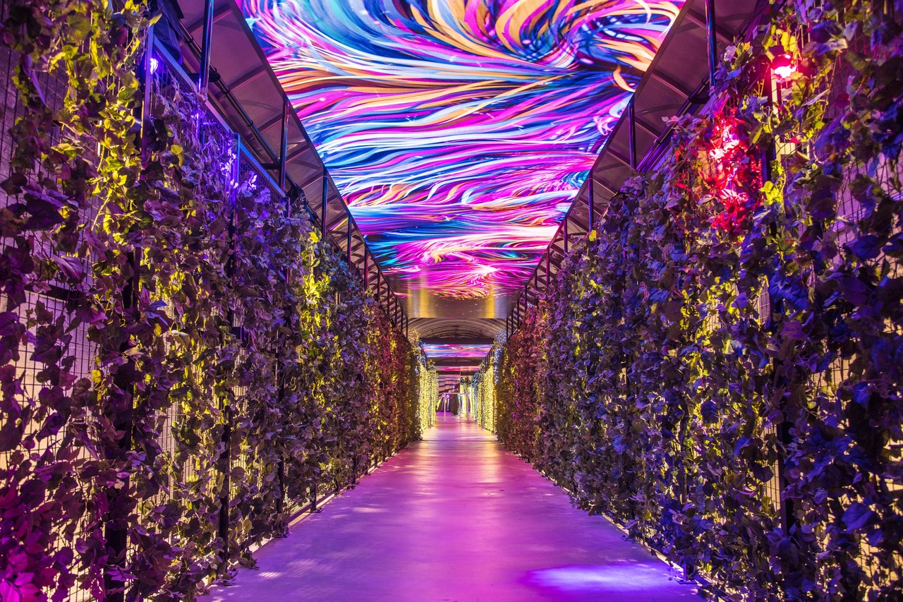 ▲ 단양 수양개빛터널. 사진=단양군제공