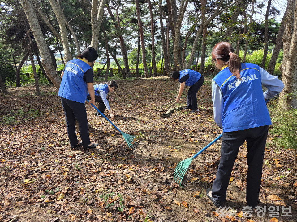 ▲ 사랑나누미 봉사단원들이 환경정리활동을 시행하고 있다