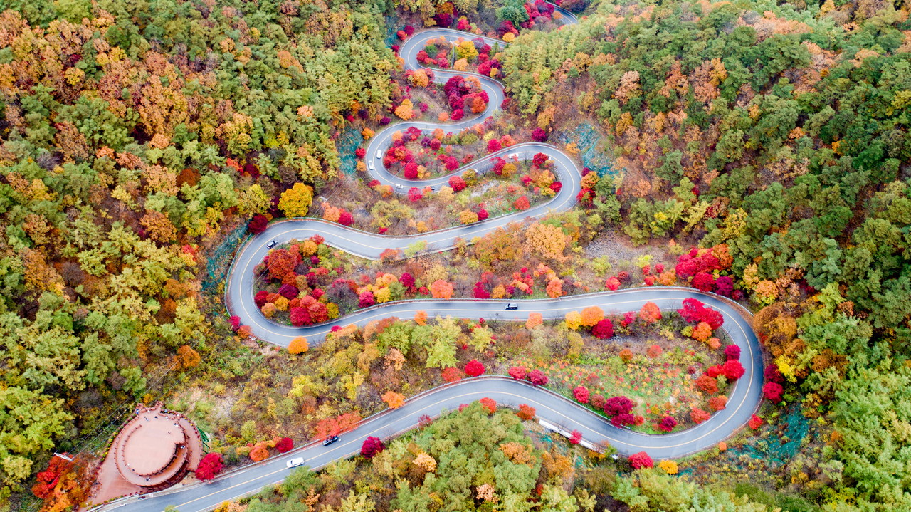 ▲ 보발재 가을 단풍 모습. 사진=단양군제공