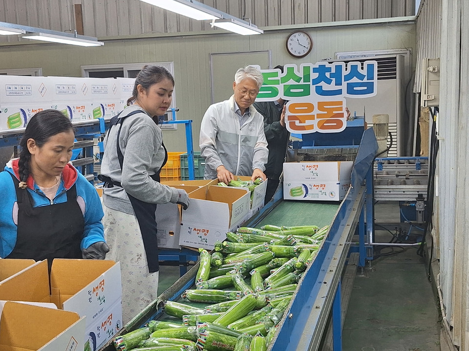 이장환 농협청주시지부장(오른쪽)이 외국인 계절근로자와 함께 애호박 선별 작업을 하고 있다.