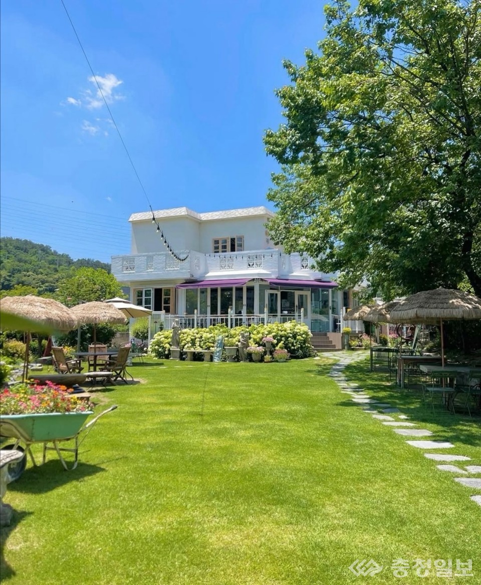 ▲ 은상 데이지 136