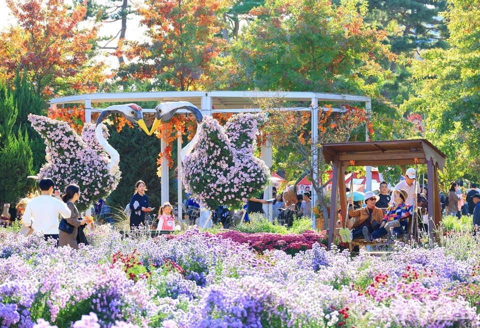 ▲ 국화와 가을꽃이 어우러진 유성국화축제 현장. 꽃조형물 앞에서 가족과 연인들이 추억을 남기고 있다