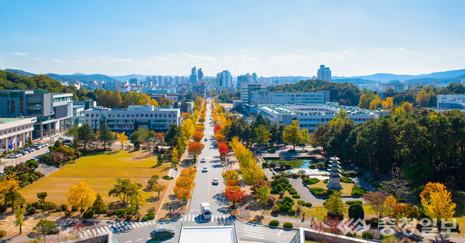 ▲ 충남대 전경