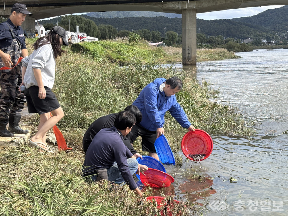 ▲ 충주시가 17일 탄금호에서 대농갱이 치어를 방류하고 있다.