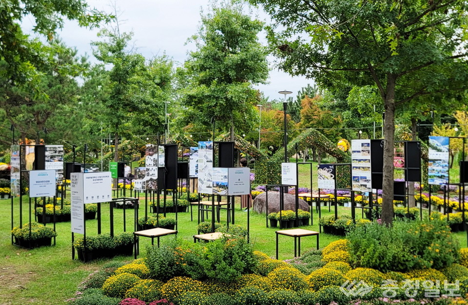 ▲ 2025 유성국화축제 ‘팝업 갤러리 프로젝트’ 전경